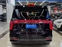 2023 Hongqi HQ9 2.0T — фото 17