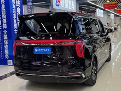 2023 Hongqi HQ9 2.0T — фото 18