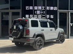 2021 Tank 300 Off-road 2.0T Conqueror — фото 9