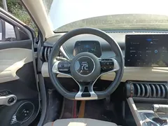 2024 BYD Yuan PLUS Honor 510KM Leading, белый — фото 11