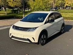 2023 BYD Dolphin 420km Freedom, белый — фото 1