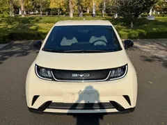 2023 BYD Dolphin 420km Freedom, белый — фото 3