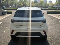 2023 BYD Dolphin 420km Freedom, белый — фото 6
