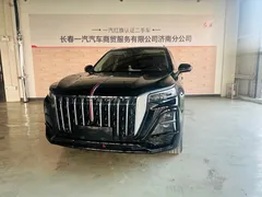 2025 Hongqi HS5 2.0T 2WD Qixiang Pro, чёрный — фото 1