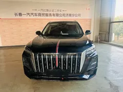 2025 Hongqi HS5 2.0T 2WD Qixiang Pro, чёрный — фото 2