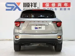 2023 Haval Dargo PLUS DHT-PHEV 105km — фото 5