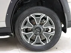 2023 Haval Dargo PLUS DHT-PHEV 105km — фото 20