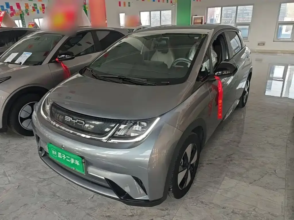 2023 BYD Dolphin 420km Freedom