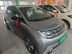 2023 BYD Dolphin 420km Freedom — фото 4