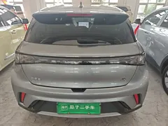 2023 BYD Dolphin 420km Freedom — фото 6