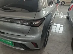 2023 BYD Dolphin 420km Freedom — фото 8