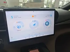 2023 BYD Dolphin 420km Freedom — фото 13