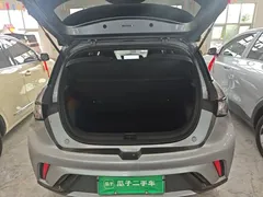 2023 BYD Dolphin 420km Freedom — фото 19
