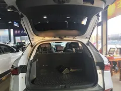2022 BYD Yuan PLUS 510km Flagship EV — фото 19
