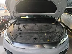 2022 BYD Yuan PLUS 510km Flagship EV — фото 20