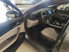2024 BYD Qin PLUS Honor DM-i PHEV 55km Leading — фото 16