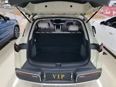 2025 BYD Yuan UP Smart Driving 401km Vitality, зелёный — фото 19