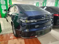 2024 BYD Destroyer 05 DM-i PHEV 55km Luxury, синий — фото 5