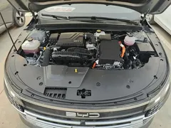 2024 BYD Destroyer 05 DM-i PHEV 55km Luxury — фото 20