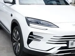 2025 BYD Song PLUS DM-i PHEV 112KM Smart Driving Premium, белый — фото 10
