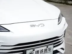 2025 BYD Song PLUS DM-i PHEV 112KM Smart Driving Premium, белый — фото 11