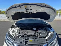 2022 Nissan Qashqai 2.0L CVT XV Prem Luxury, белый — фото 19