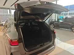 2023 BYD Song PLUS Champion DM-i PHEV 110KM Flagship Plus — фото 19