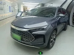 2025 BYD Tang DM-i PHEV 115km Flagship — фото 1