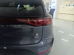 2025 BYD Tang DM-i PHEV 115km Flagship — фото 8