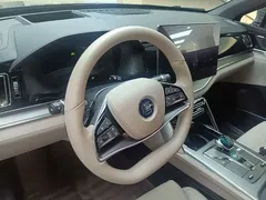2025 BYD Tang DM-i PHEV 115km Flagship — фото 11