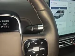 2025 Li Auto L9 Smart Refresh — фото 14