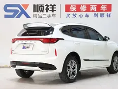 2023 Haval Chitu 1.5T, белый — фото 4
