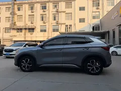 2022 BYD Yuan PLUS 510km Premium — фото 4