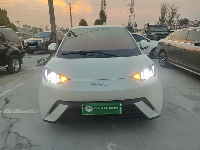 2025 BYD Seagull 305km Vitality