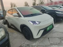 2025 BYD Seagull 305km Vitality, белый — фото 4