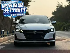2021 Changan Raeton PLUS Blue Whale 1.5T DCT Luxury, белый — фото 2