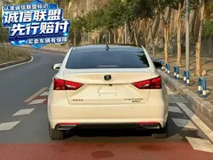 2021 Changan Raeton PLUS Blue Whale 1.5T DCT Luxury, белый — фото 9