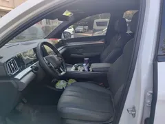 2025 BYD Song Pro 2nd Gen Smart Driving DM-i PHEV 75km Leading, белый — фото 11
