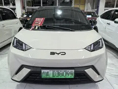 2025 BYD Seagull 305km Freedom — фото 2