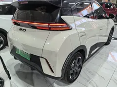 2025 BYD Seagull 305km Freedom — фото 6