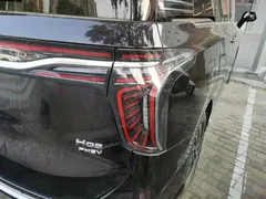 2024 Hongqi HQ9 2.0T PHEV 4WD Business — фото 8
