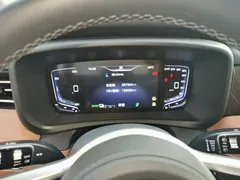 2024 Hongqi HQ9 2.0T PHEV 4WD Business — фото 12