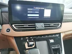 2024 Hongqi HQ9 2.0T PHEV 4WD Business — фото 13