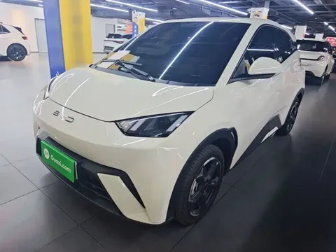 2023 BYD Seagull Freedom