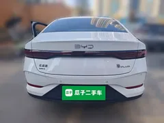 2025 BYD Qin PLUS DM-i PHEV Smart Driving 55km Leading, белый — фото 5