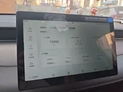 2025 BYD Qin PLUS DM-i PHEV Smart Driving 55km Leading, белый — фото 13