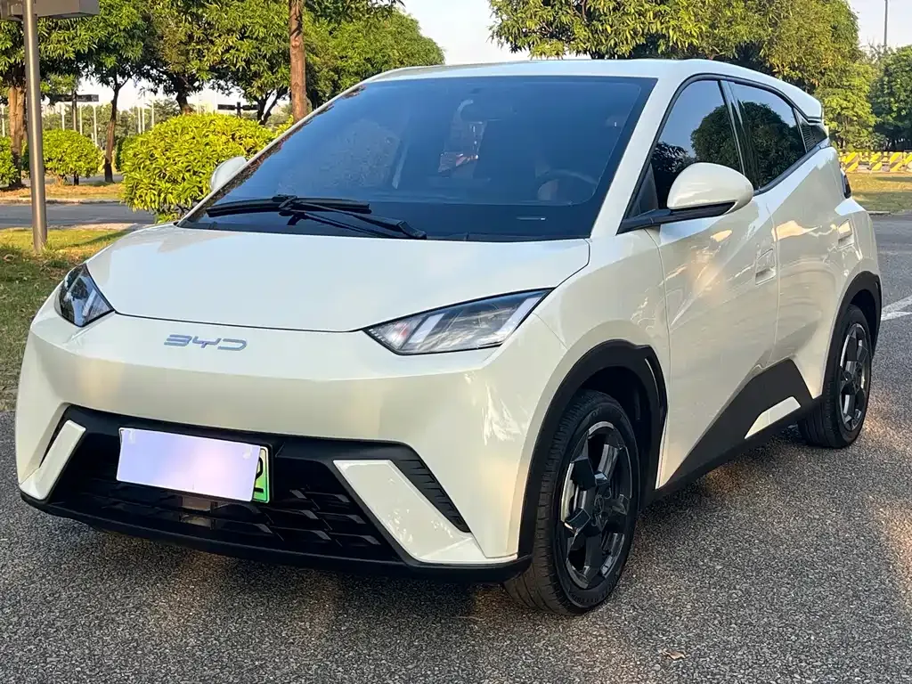 2023 BYD Seagull Flying