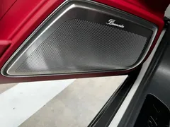 2023 Porsche Panamera 4 Executive Long Wheelbase Platinum 2.9T — фото 6