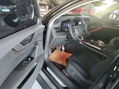 2023 Hongqi HS5 2.0T 4WD Qixiang Pro, чёрный — фото 16