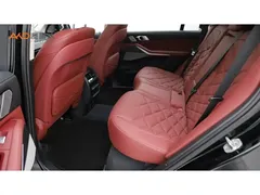 2023 BMW X5 30Li 2.0T xDrive Premium M Sport Package, чёрный — фото 7